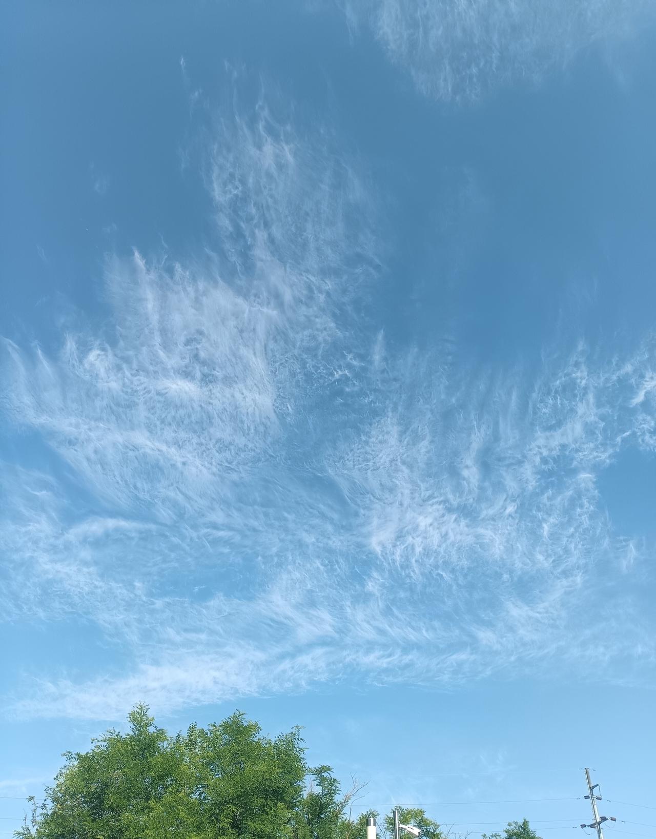 澄蓝天幕上，云丝如素花轻绽，柔絮漫卷，似羽似纱，与晴光共绘一抹清浅诗意。