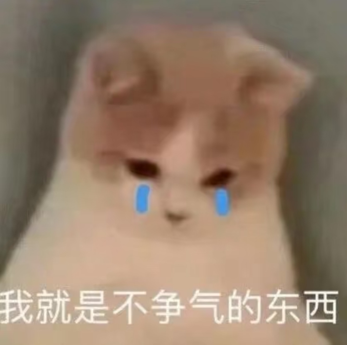 早安，麻烦把手头的事情放一放，该来敷衍我了，踢踢 ​​​
