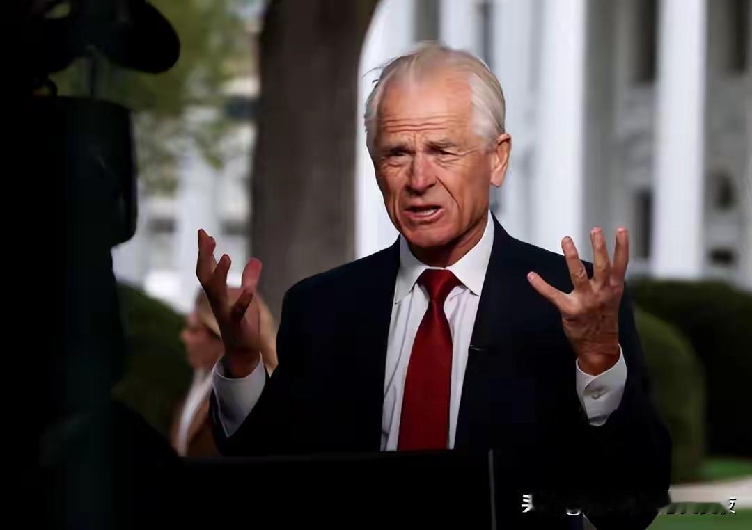 特朗普顾问说漏嘴：美国在用时间换稀土，想蓄力暴击中方？