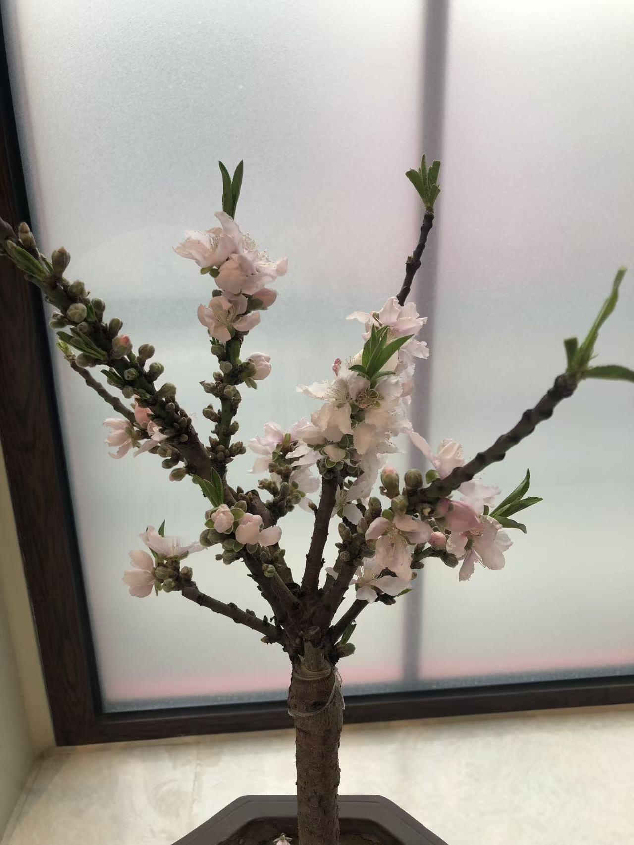 晒图笔记大赛中山公园