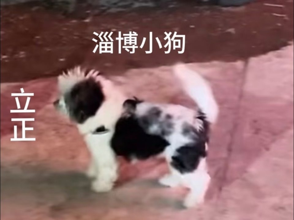 我就这样睡到不知天地为何物 