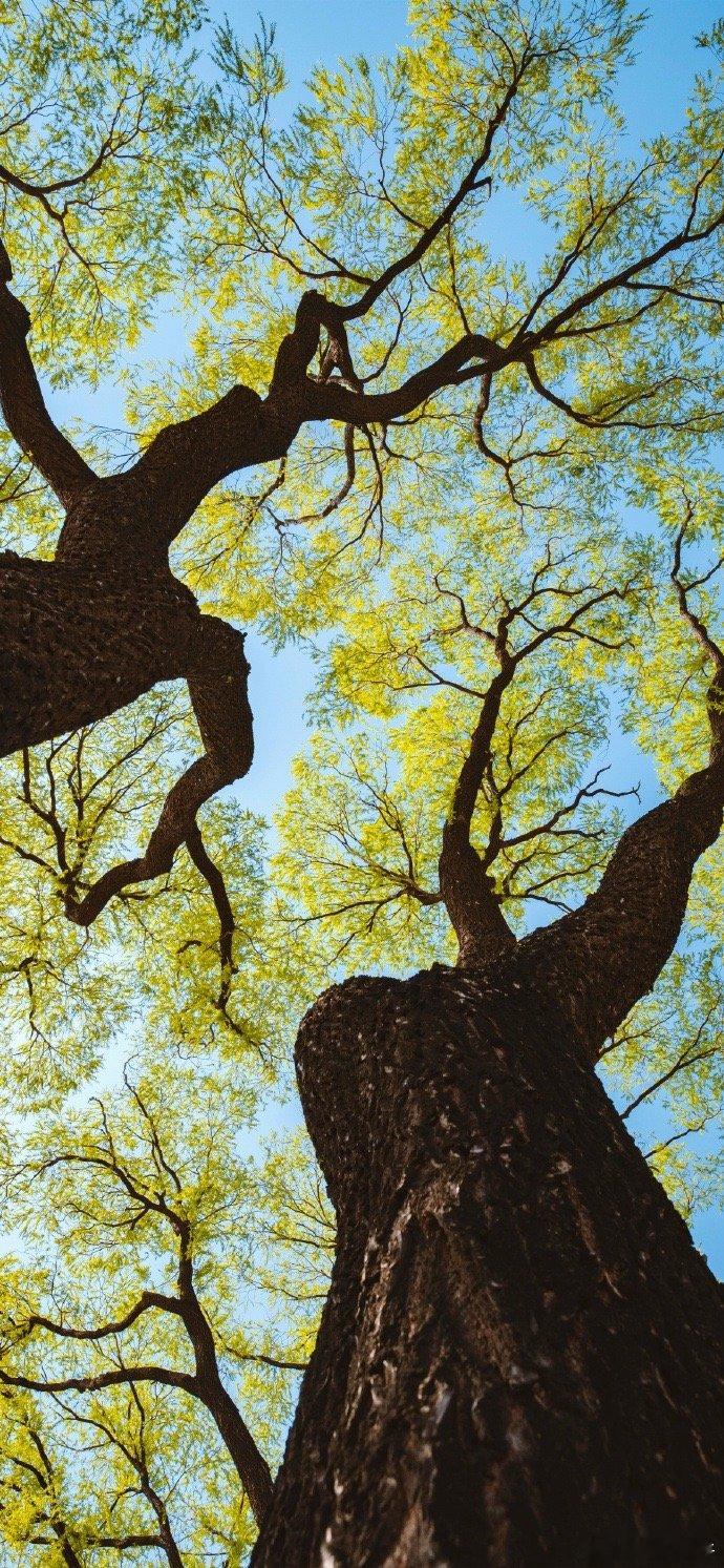 鼎食华轩到眼前，拂衣高谢岂徒然。九霄路上辞朝客，四皓丛中作少年。他日卧龙终得雨，