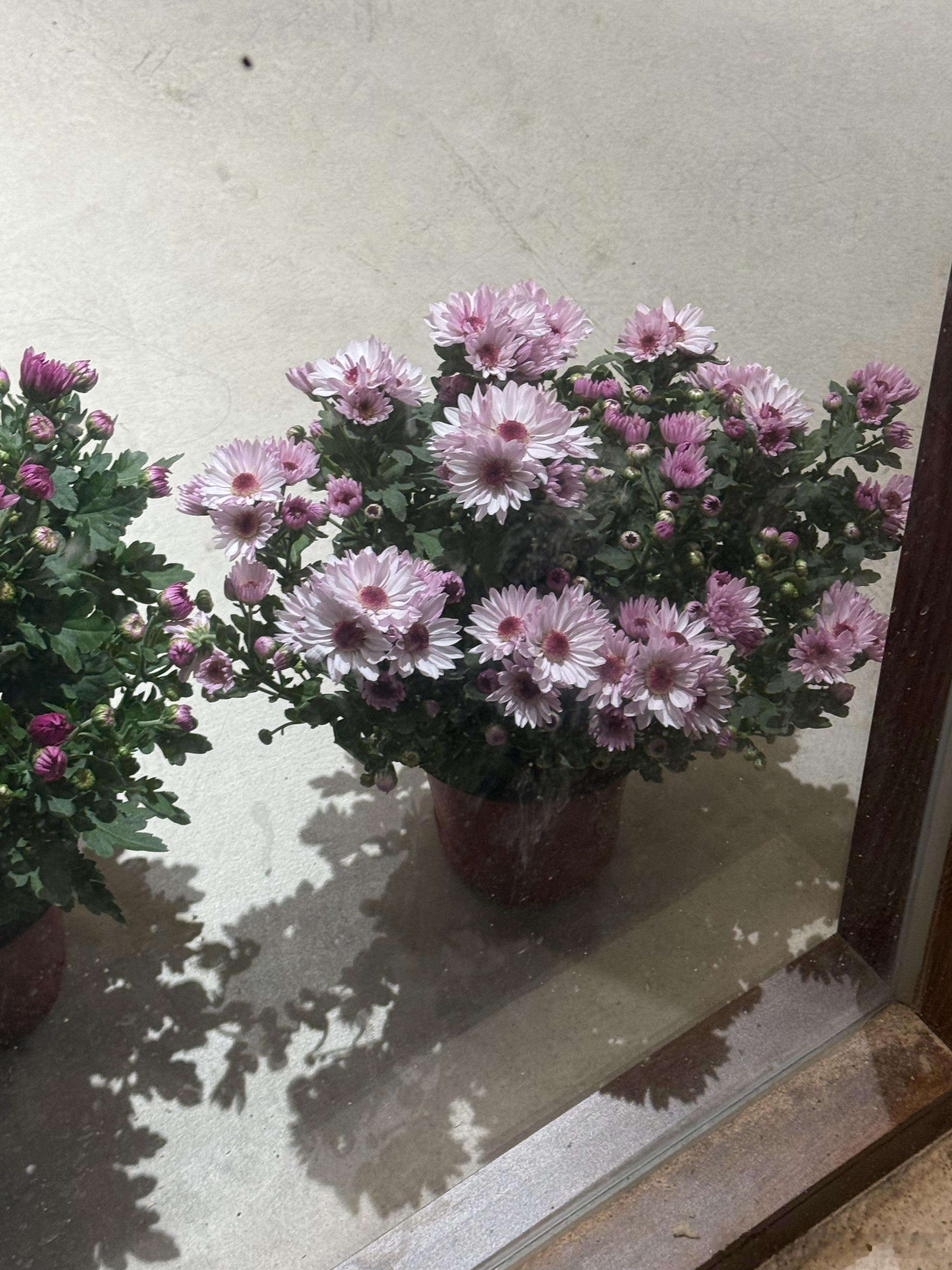 世界有浮力：）放松，就能被托举。 ​​​