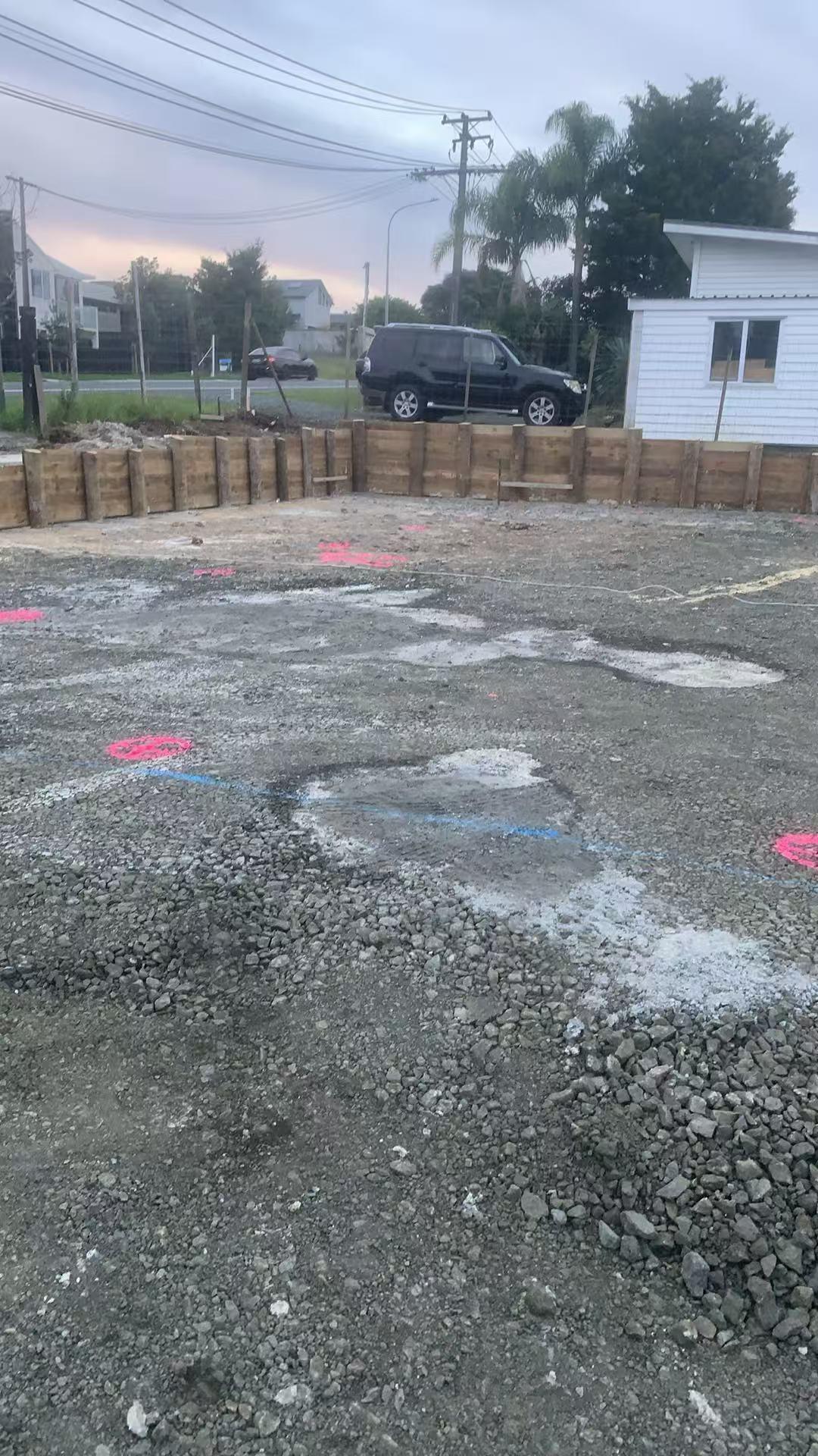 回家倒计时两天

亲家母知道我星期二回上海，原本约了她小女儿全家今天中午来吃饭。