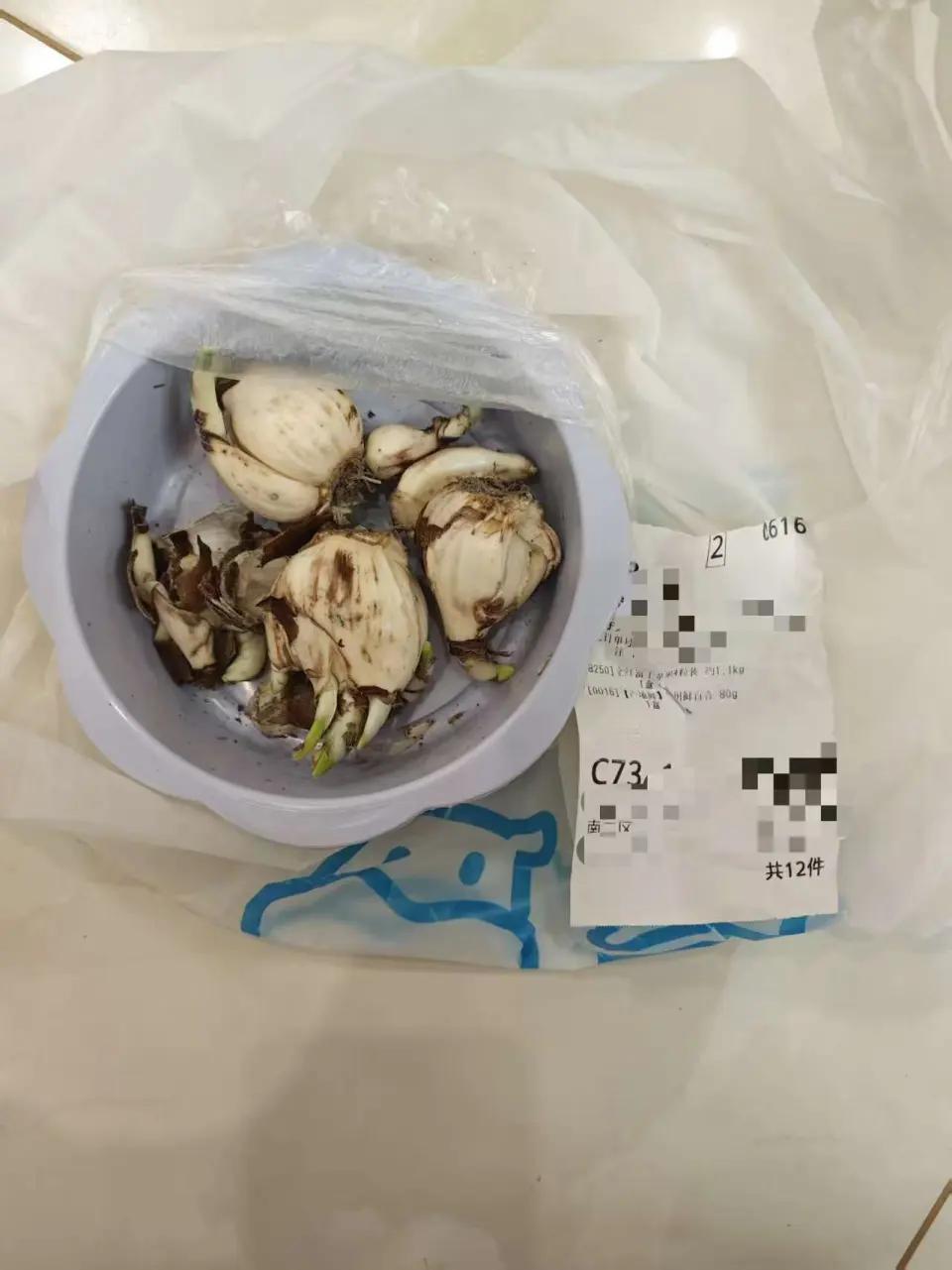 有多少人能分的清水仙鳞茎和百合鳞茎，盒马配送分不清，北京邹女士71岁老母亲和12