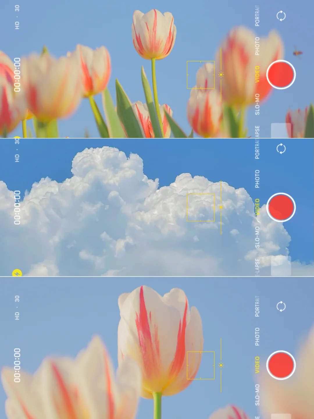 手机调色✨日系小清新氛围滤镜🌷拯救废片❗️