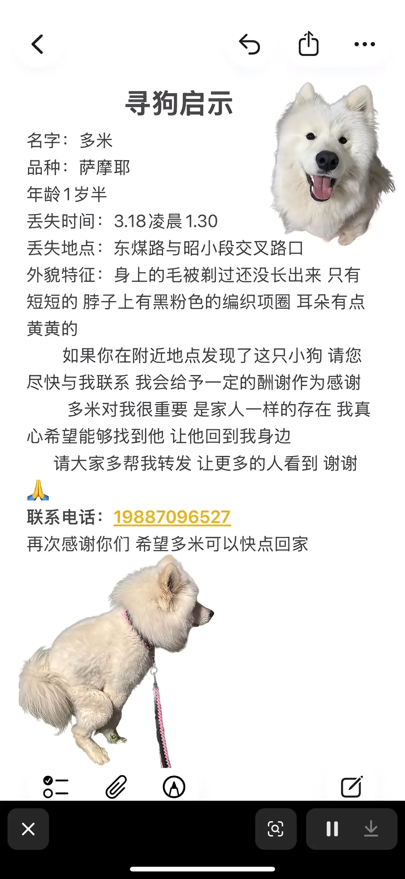 重要通知。   有个小女孩的爱狗🐶丢了，希望大家看见，能提供线索，让...