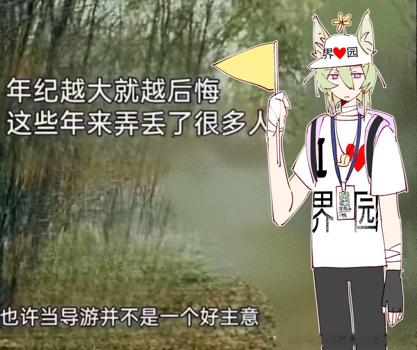 再来一条导游小粽 