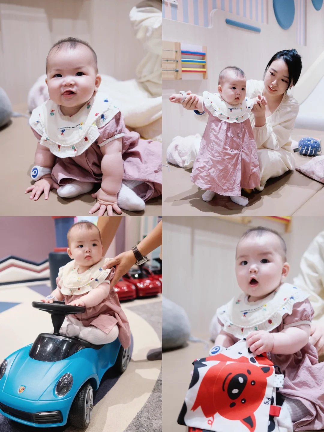 𝑷𝒍𝒐𝒈｜6月龄崽崽勇闯奈尔宝攻略🫡