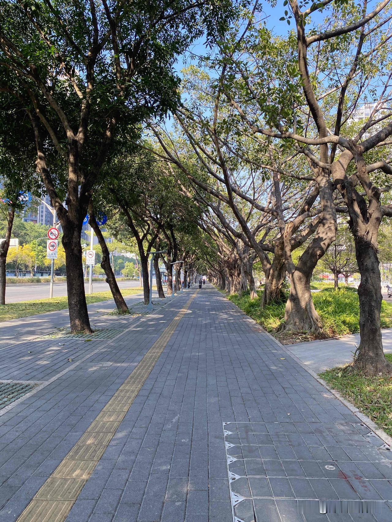 “相亲市场上的男人不能要！”

今天听到一位大姐说的一段怪谈：
她说，相亲市场上