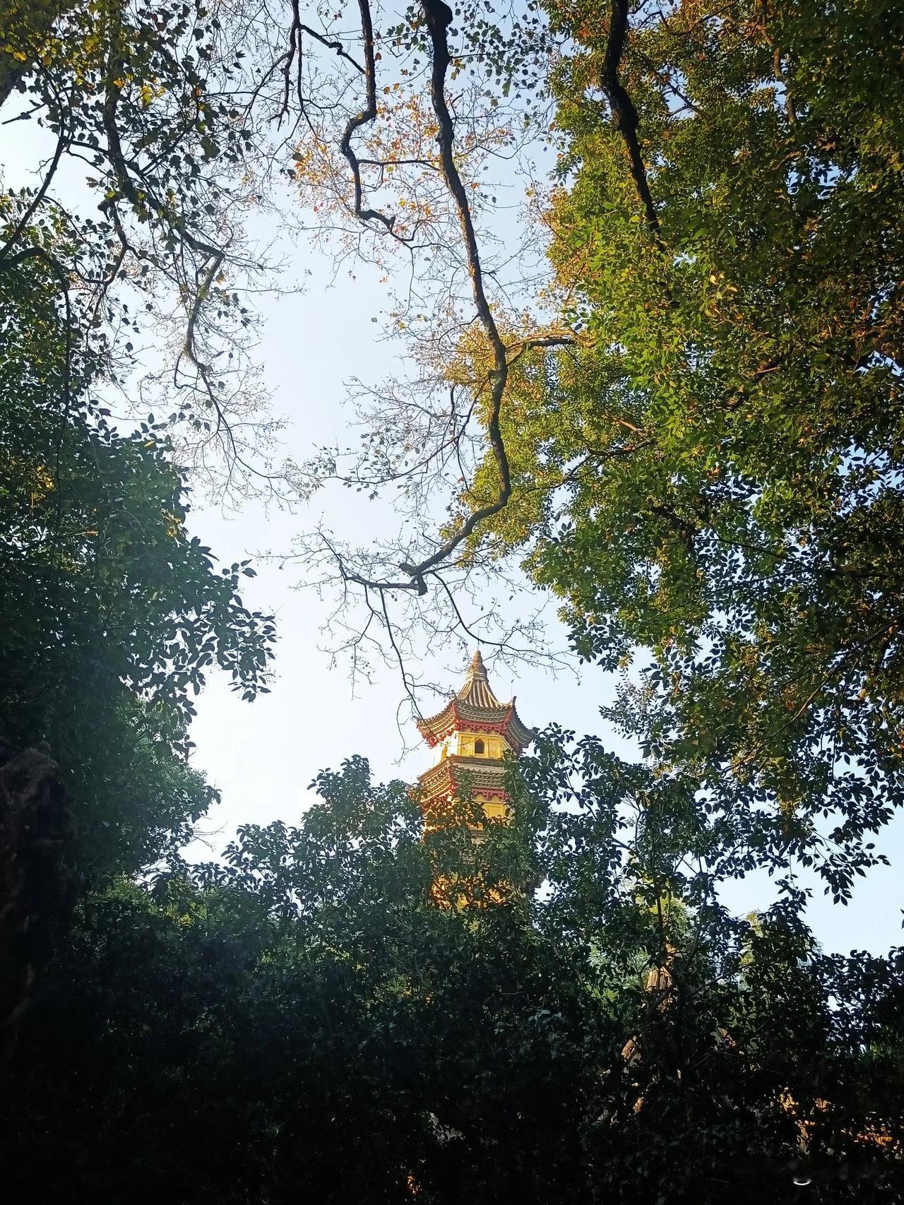 古塔隐于绿树间，静谧悠然如世外桃源。
天童寺