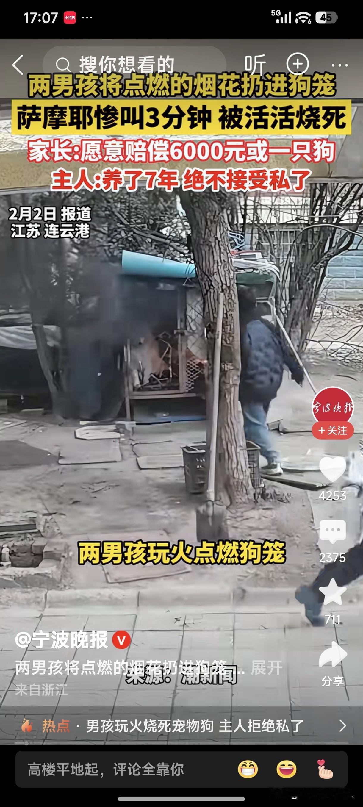 当初，人们制定法律是用来保护人身安全以及财产安全。现如今，要制定“动物保护法”、