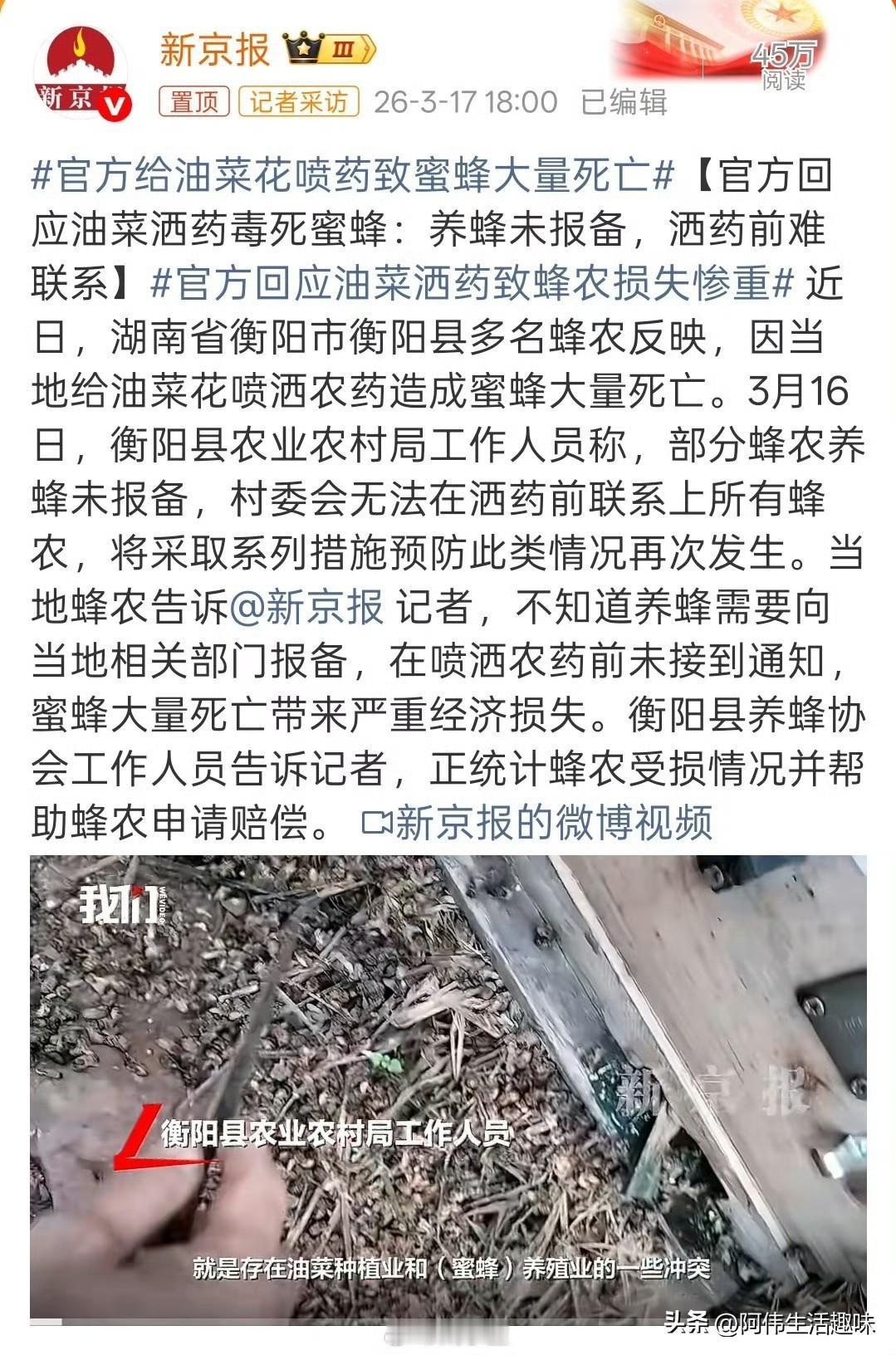 给油菜花喷洒农药之后，养蜂人的“天塌了”，大量的蜜蜂无辜死亡。
湖南衡阳市某县多