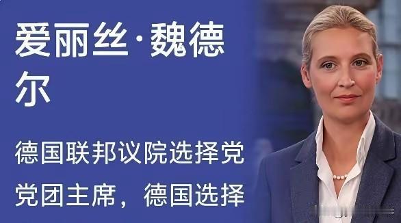 魏德尔直指当年炸毁北溪管道的是乌克兰，扬言一旦选择党上台执政，不但会停止毫无意义