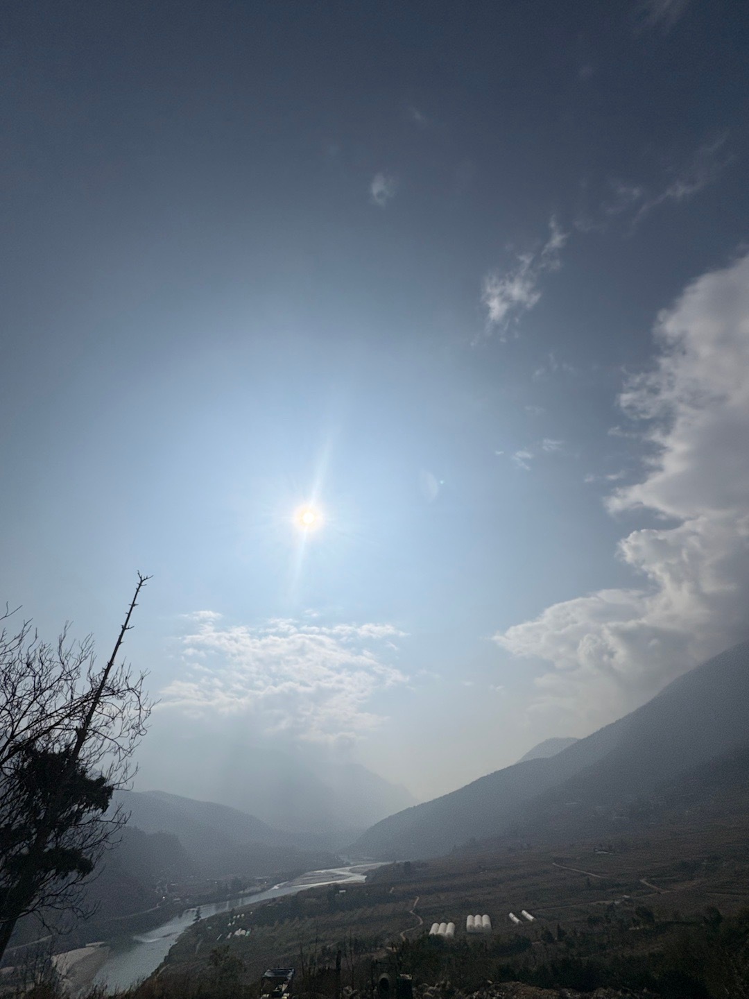 红包满满🧧🧧🧧🧧🧧🧧：祝各位马年年鱼跃龙门，马到成功，一马当先，鱼跃