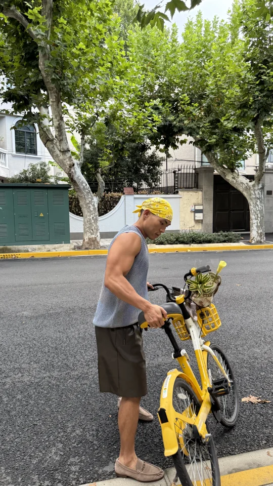 最喜欢上海的秋天｜平静而有力量