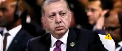 新年第一炮，土耳其把天聊死了！埃尔多安大手一挥，中国人去他们国家连签证都不要了。