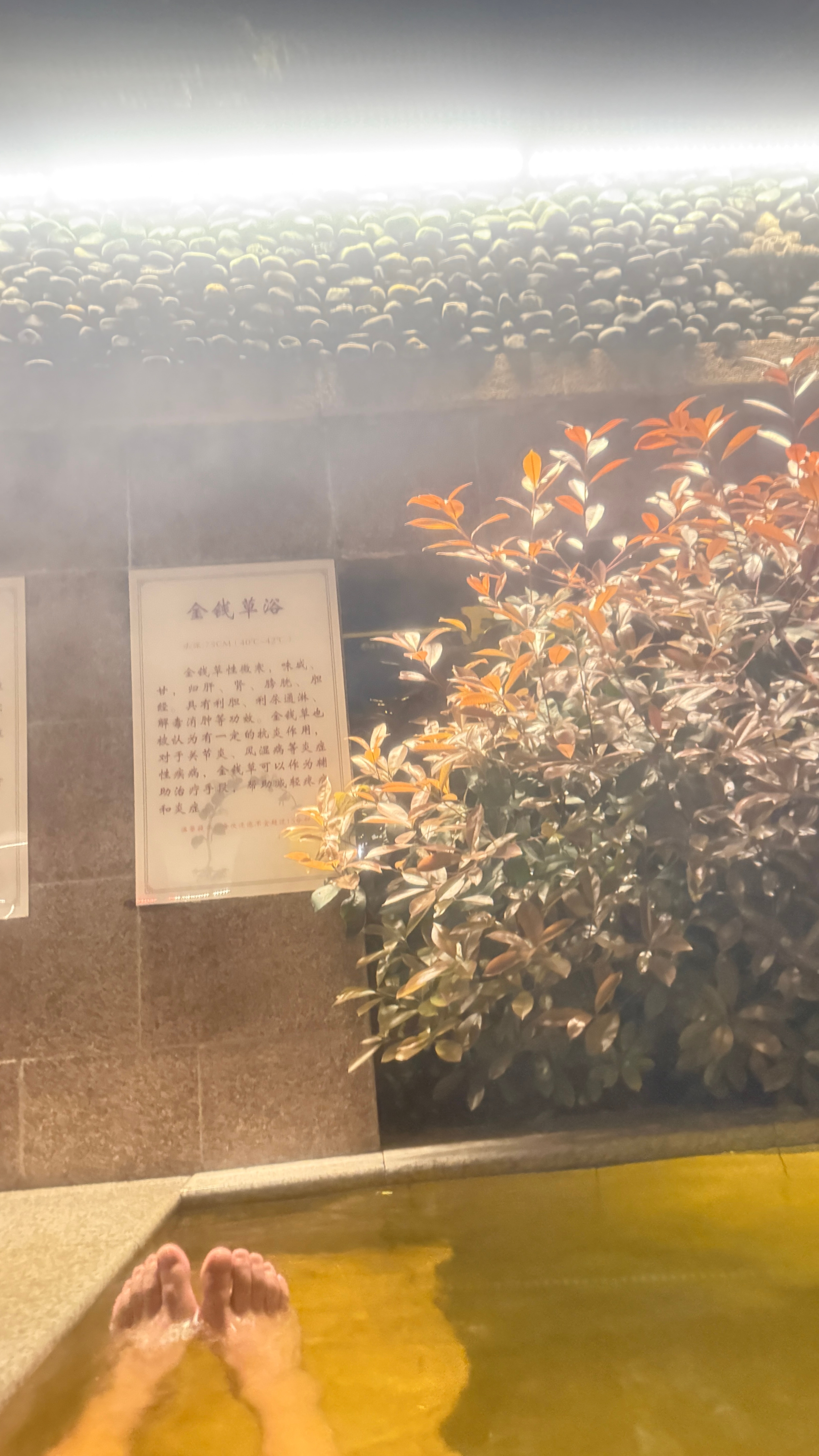 泡个温泉，告别乱糟糟的三月 咸宁·碧桂园凤凰温泉中心