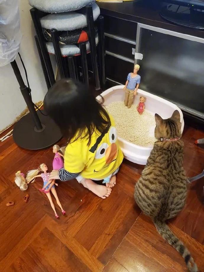 猫砂盆被小主人当作海滩了…猫猫心里一万个敲里马！