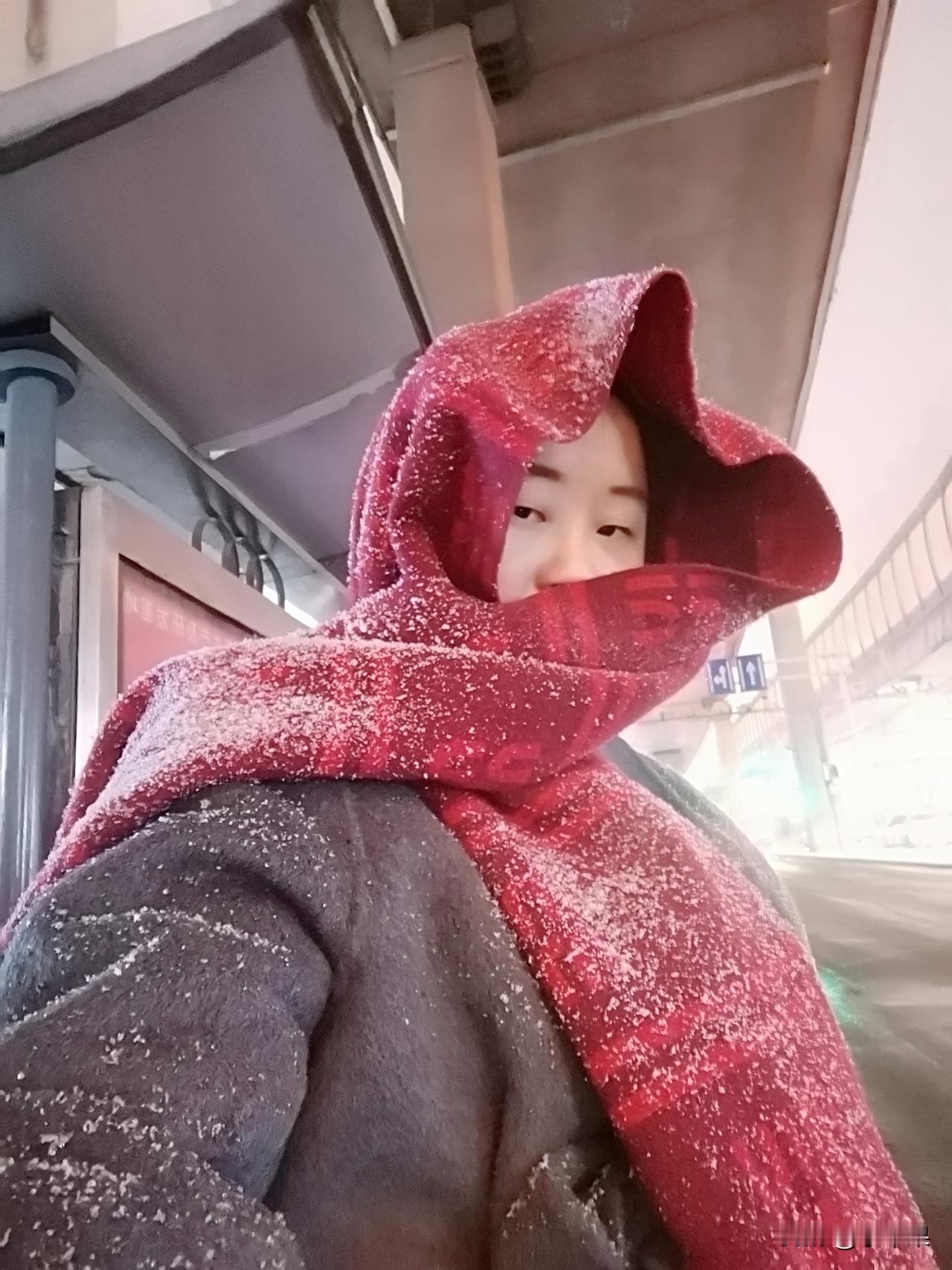 万万没想到早去的时候还好好的晚上就下起了大雪