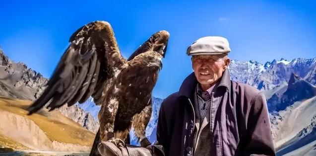 2020年，蒙古老汉巴图鲁救助了一只受伤的老鹰，一年后，老鹰把老汉的孙子给叼走了