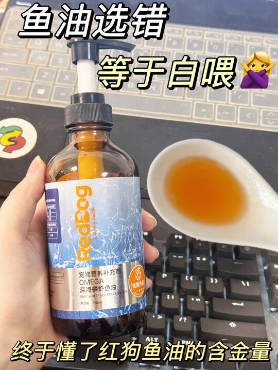 还有人不知道猫咪会主动吃鱼油吗？