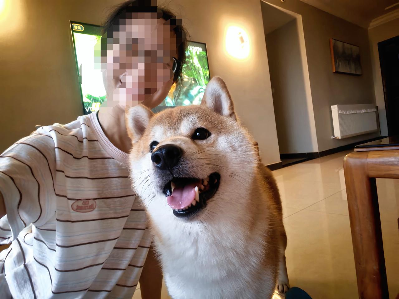 晒晒我家的犬子，
友友记得回礼呀！