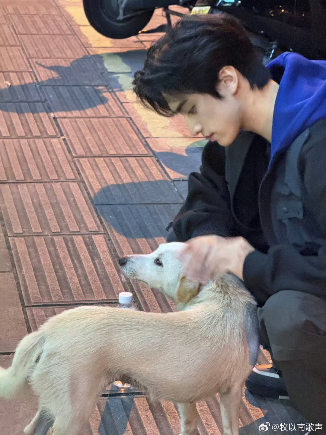 张康乐少看点番茄小说吧张康乐这生活也太像番茄小说了吧！从“奇遇记录官第一章”更日