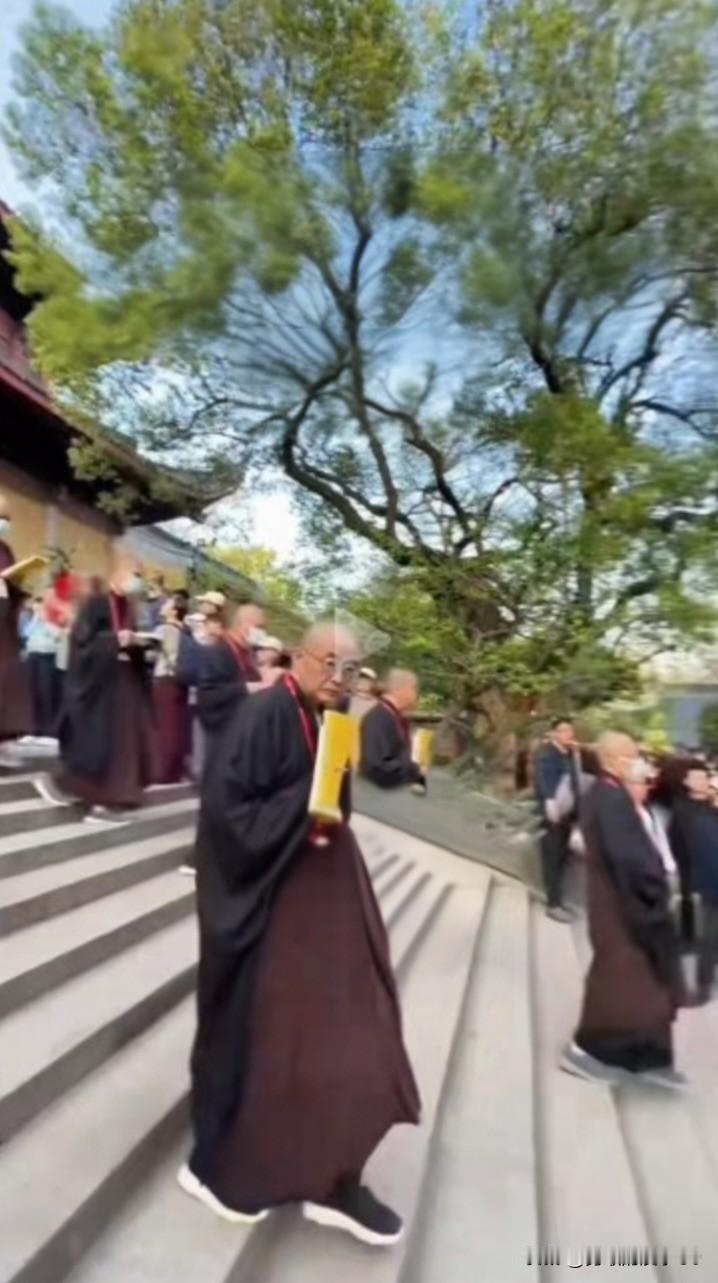 这年头去寺庙，僧比游客还多，着实让人破防。以少林寺为例，释永信住持提出“和尚也要