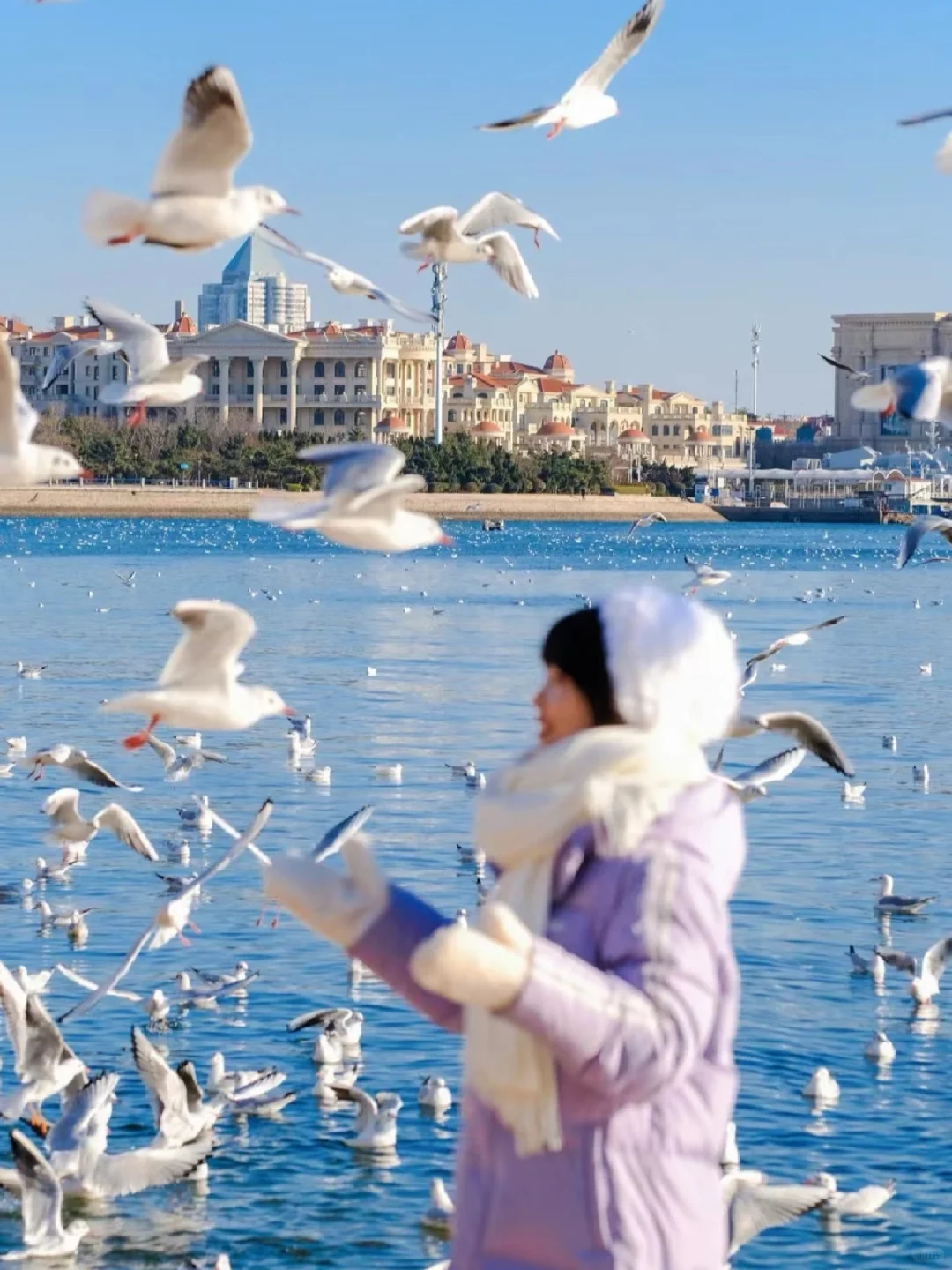 冬天来青岛旅行一定要做的5️⃣件温暖小事✅