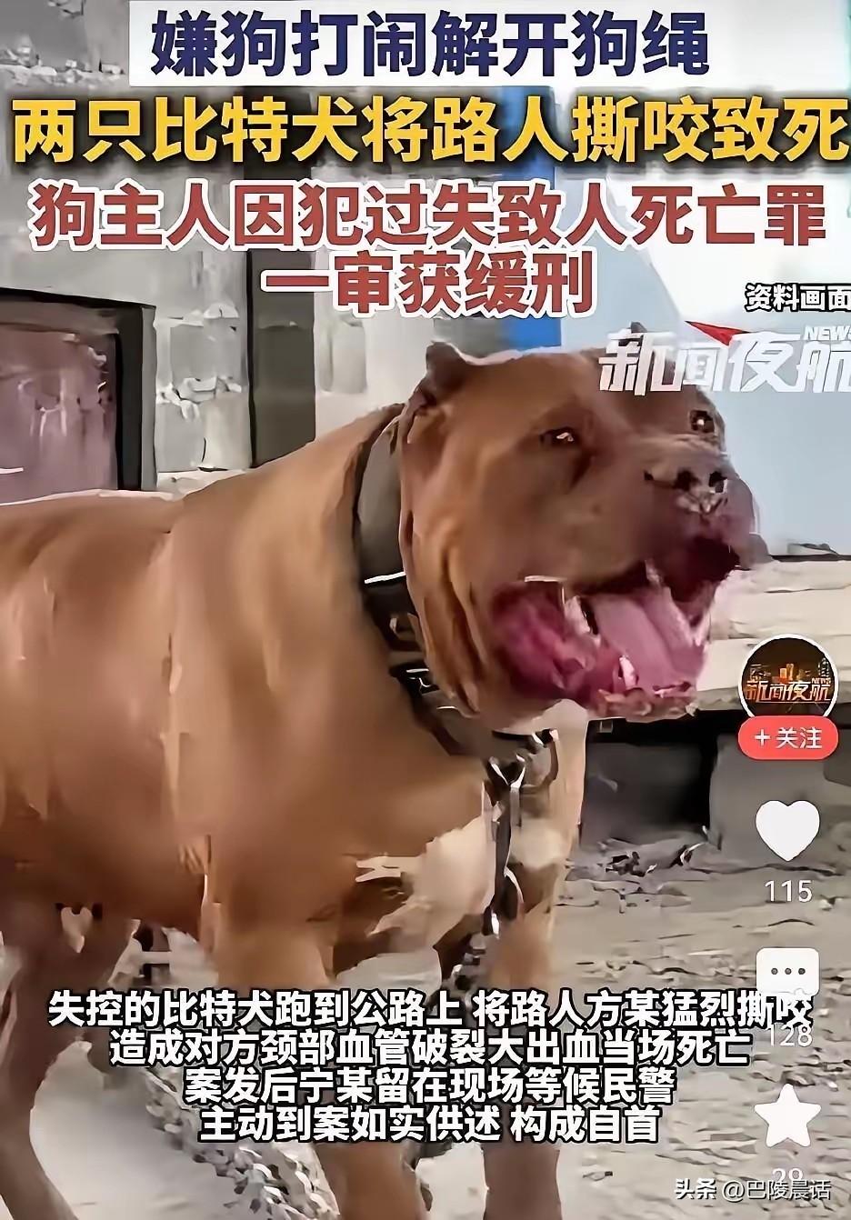 早晨刷到这样一条消息，血压直接飙升：重庆彭水一有前科的男子放任禁养的比特犬咬死无
