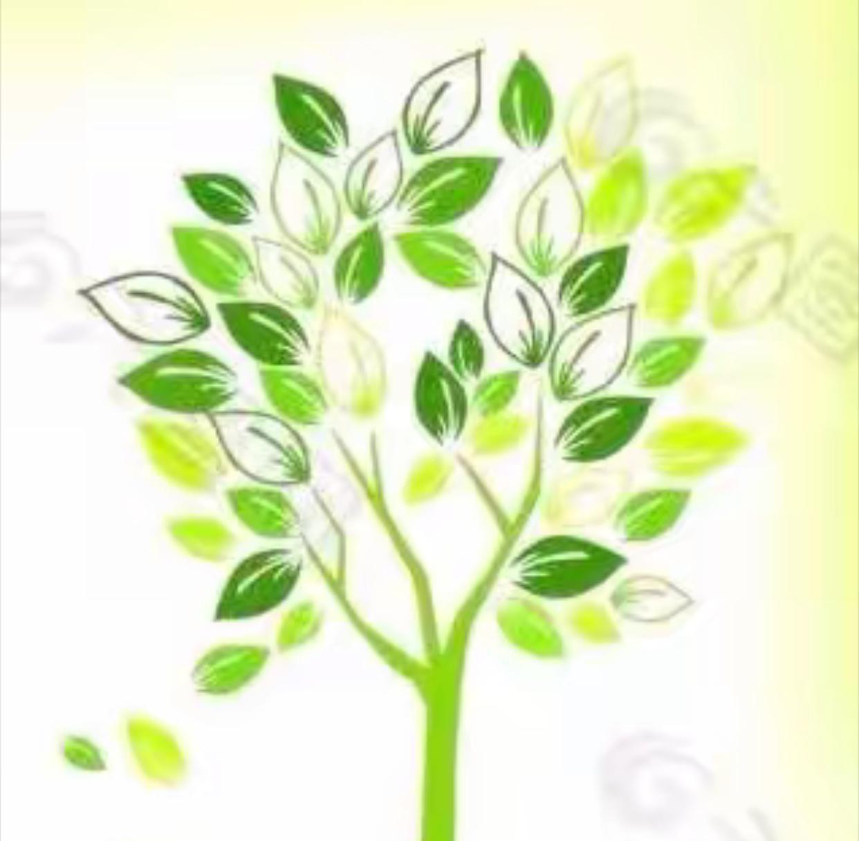 我挺卡通树老师。

既然滤镜一篇不痛不痒的反对对卡老师上手的作品能招致一些人的反
