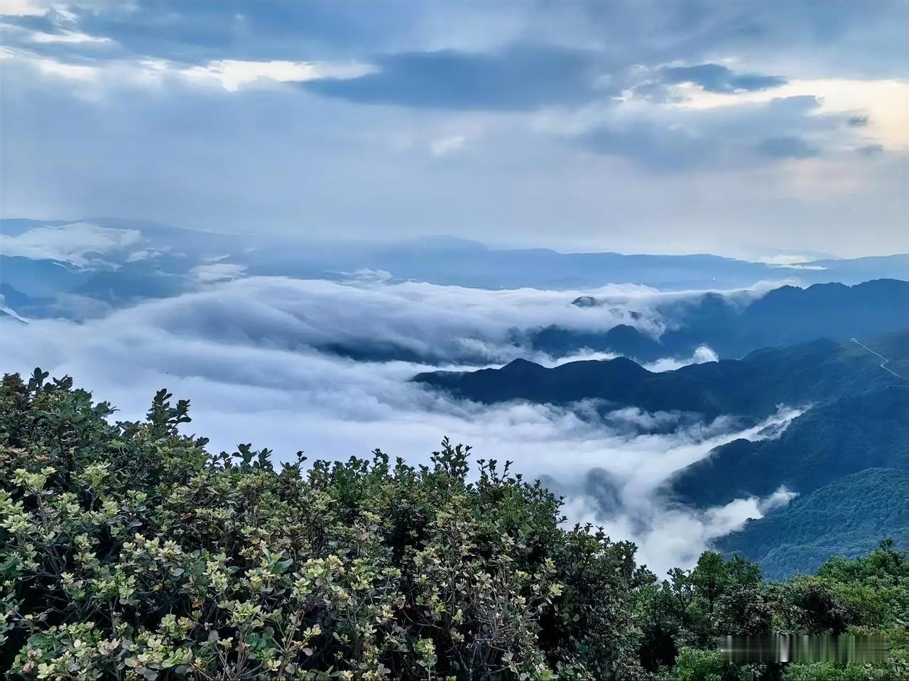 一位生物学家说：“你以为的快活，其实是拿命在换。动物交配完就死，是写在基因里的警