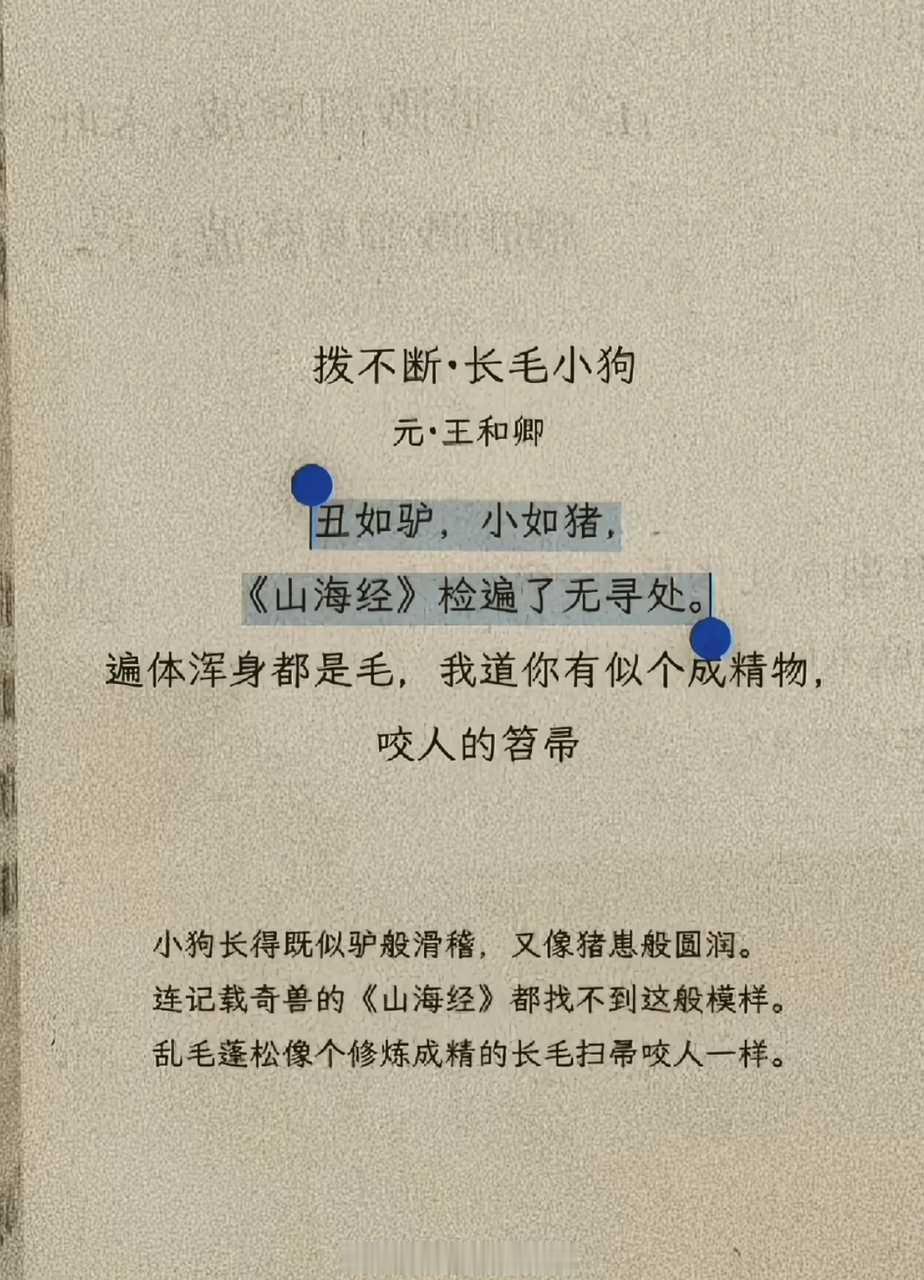 今人不见古丑狗，丑狗自古便已有。 ​（​​​