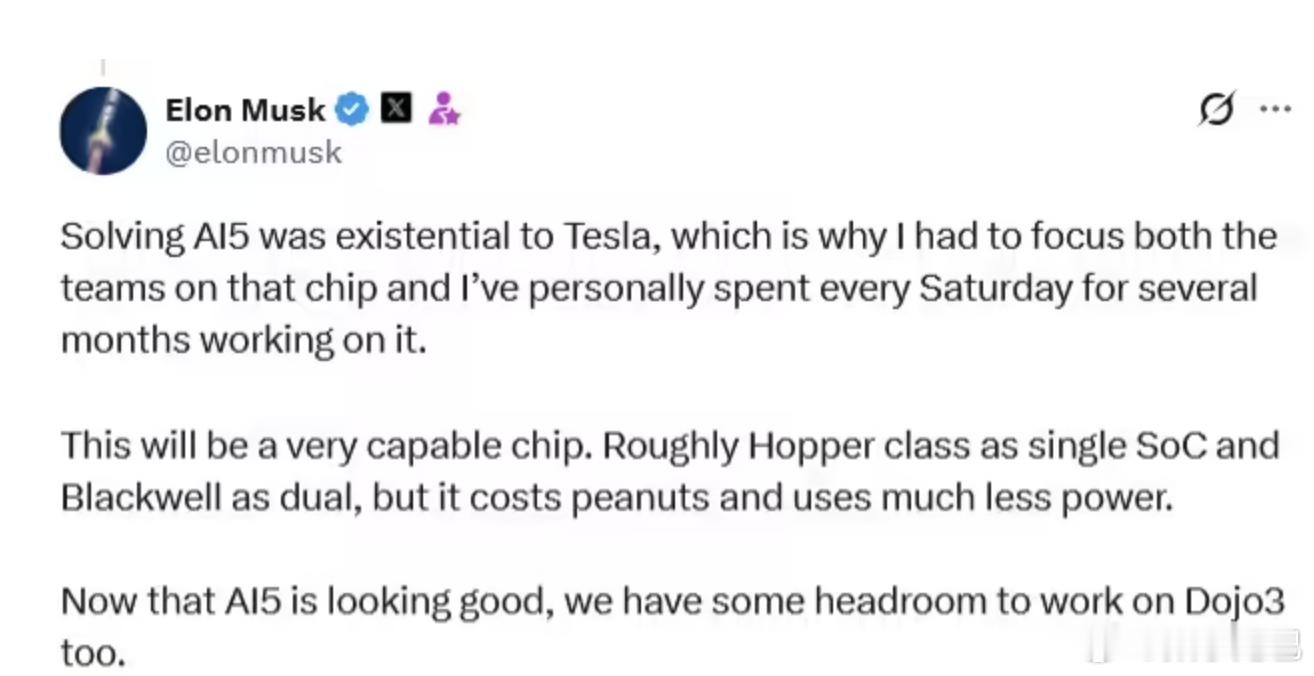 特斯拉的 AI 芯片有新进展马斯克在 X 平台表示：AI5 在单 SoC 下的性