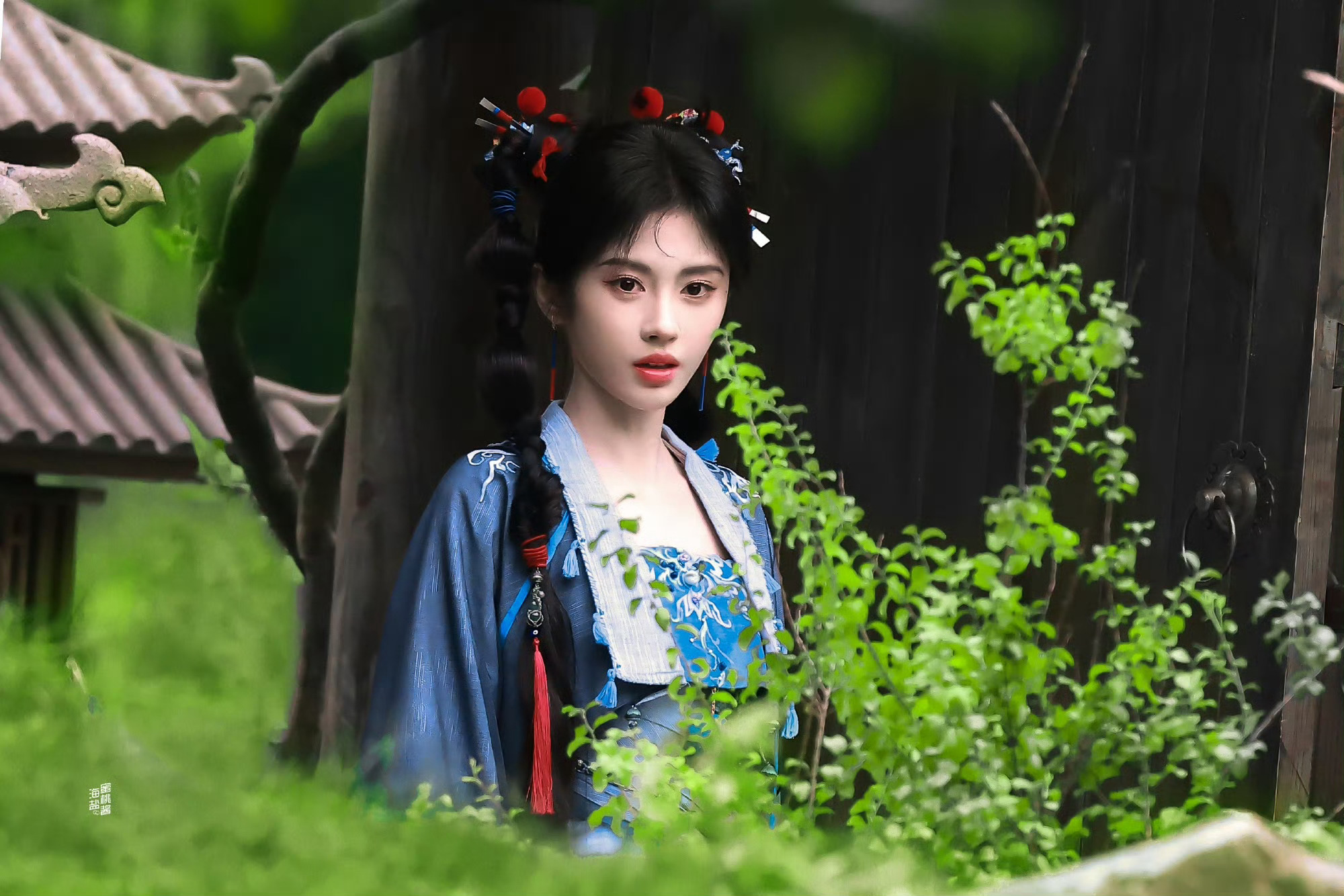 鞠婧祎*萌黛鞠婧祎