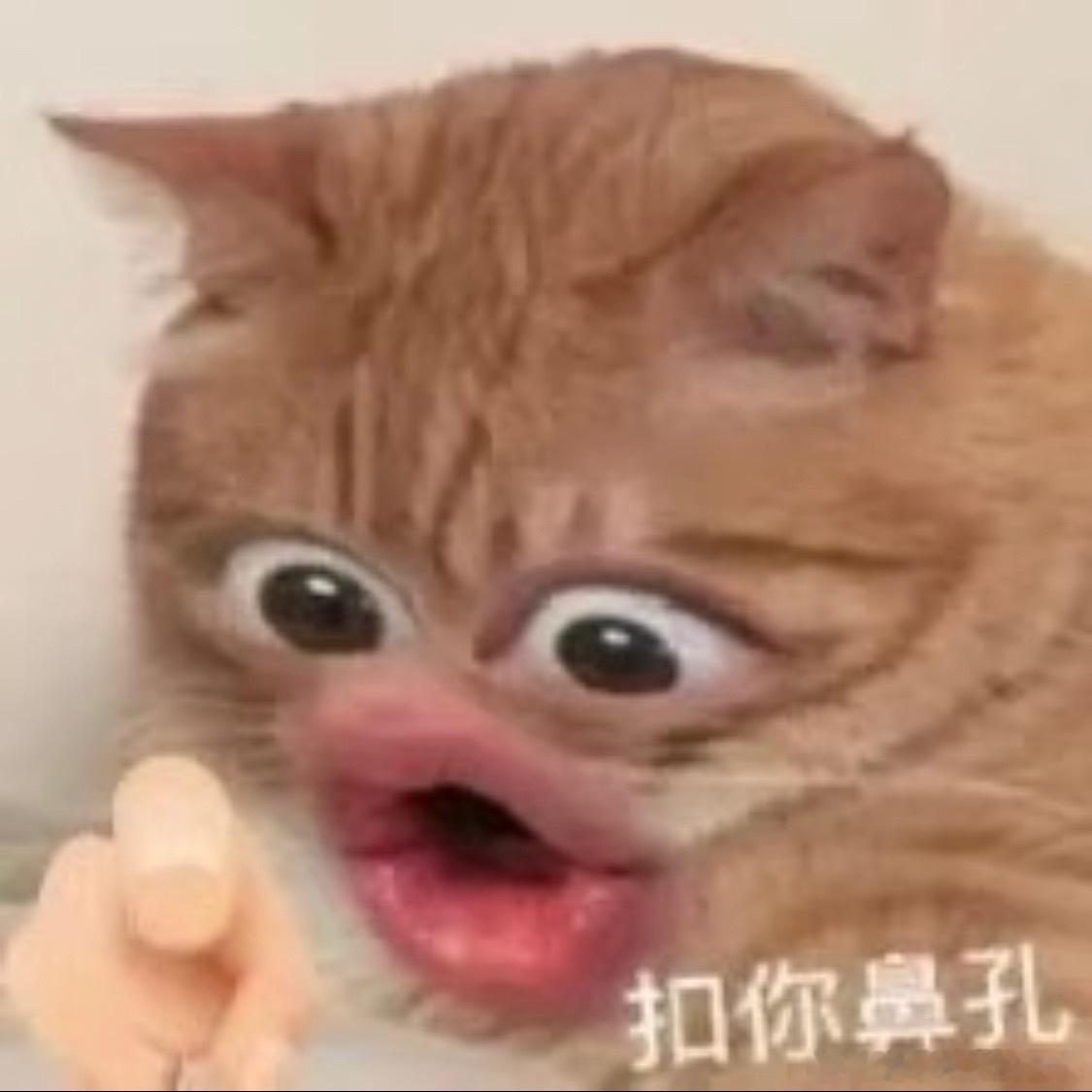王一博下个组可以提上议程了这个词条真的好好笑，又怕笑太大声了，脖子哥从温哥华跑过