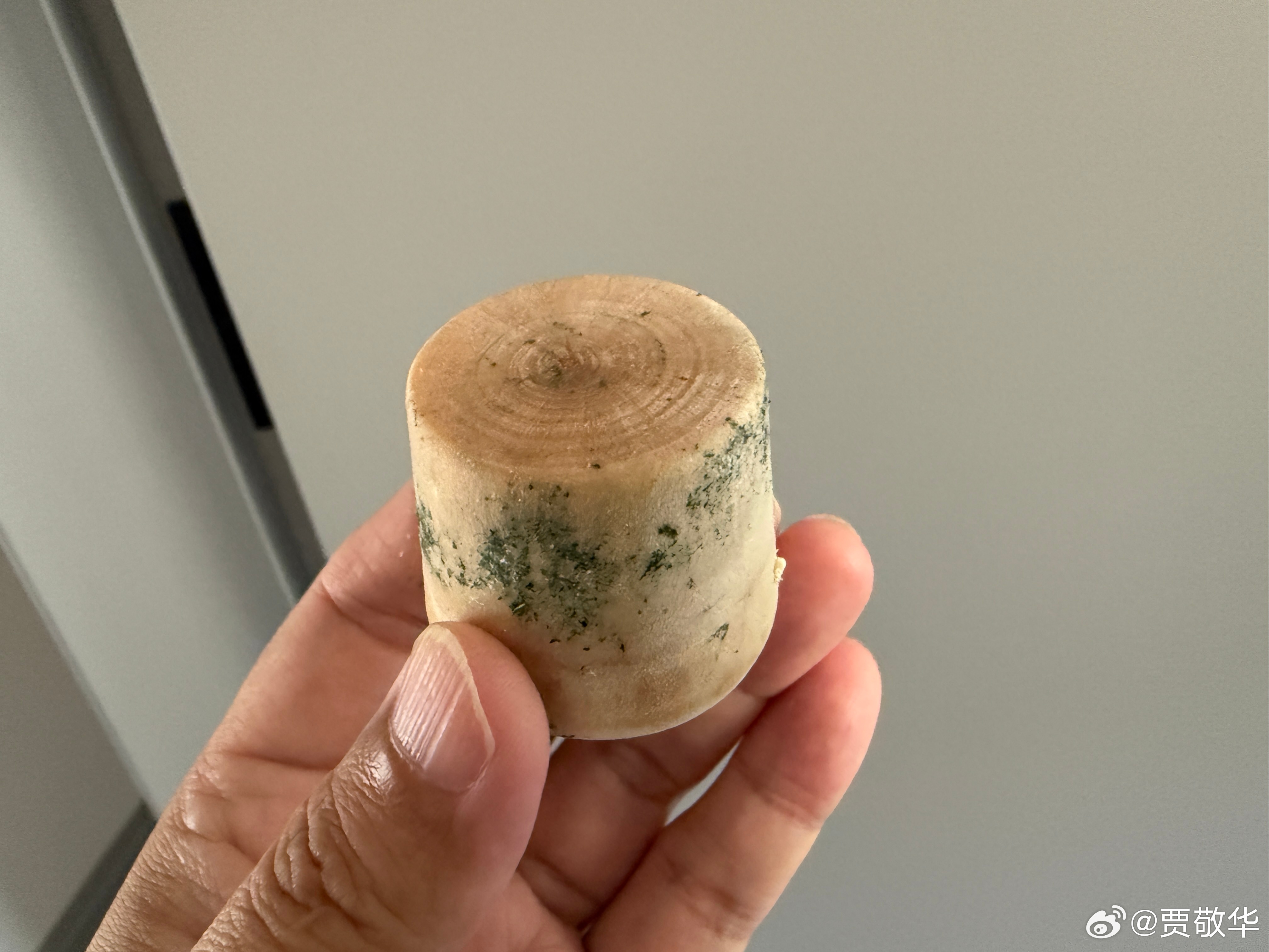 朋友家暖水瓶，昨天烧的开水，今天暖瓶塞长毛了，一堆的绿毛。然后，朋友问我，这是水