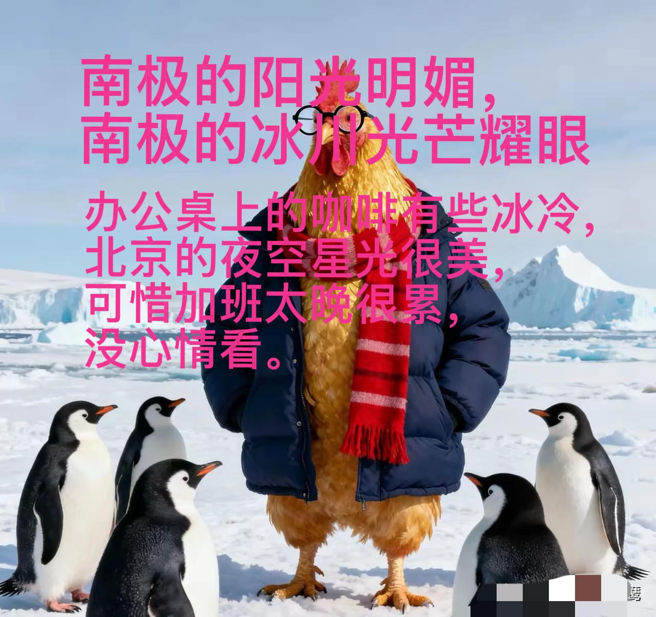 他还是他，
还是老罗口中那个表现欲满满的他，
还是那个出了问题装聋作哑甩锅的他。