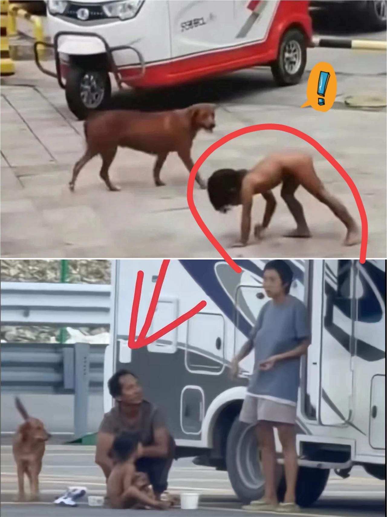 一个大学学历的父亲，把“生活方式”当成挡箭牌，
让孩子像野生动物一样在养狗场长大