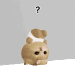 韩味很重的3d小猫表情包分享表情包｜小猫｜韩系｜可爱｜分享 