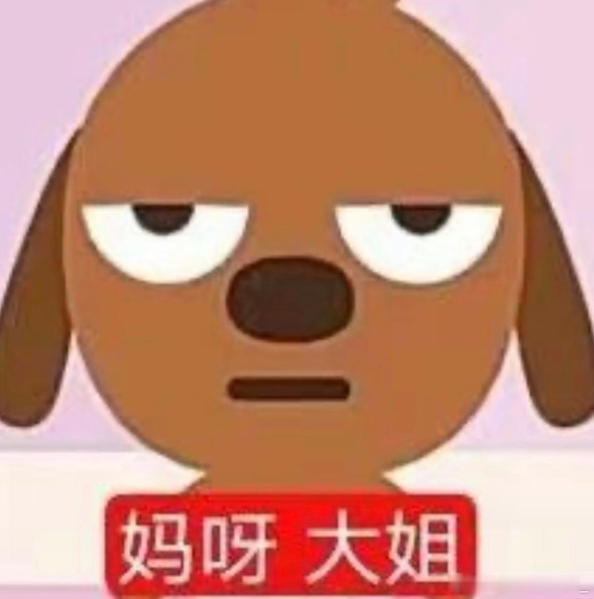 王楚钦也在看半熟恋人玛雅大姐，我看这节目组缺热度缺feng了。点进来的都为队长王