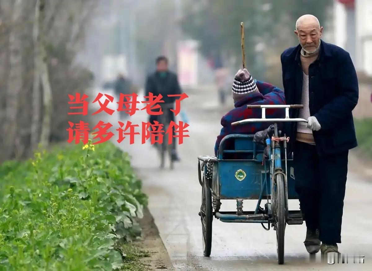 农村老人的晚年：没存款、病了扛，守着空房子熬日子，谁懂他们的难？
 
刷到太多城