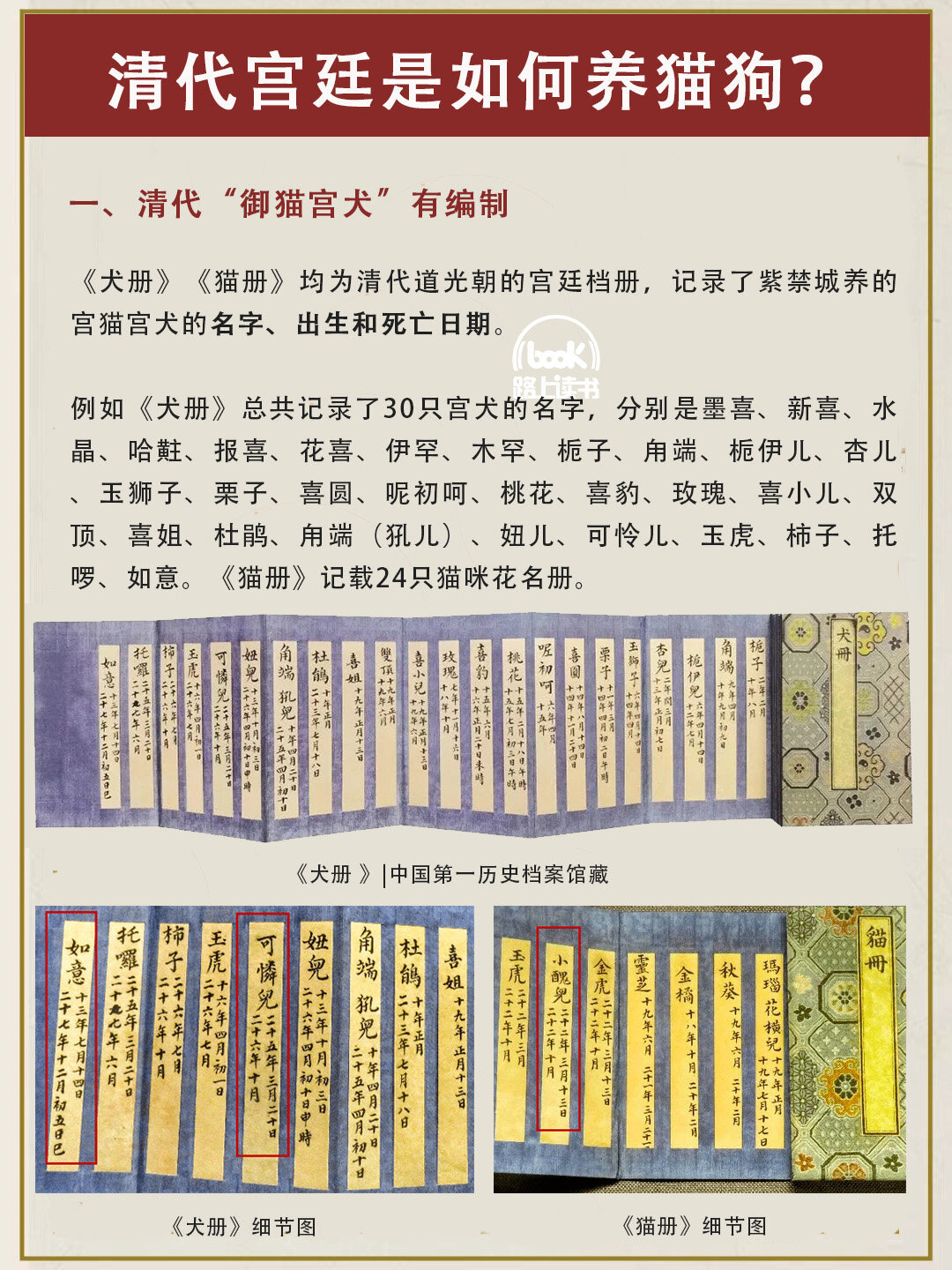 清朝宫廷如何养狗养猫，雍正的狗，乾隆的猫，猫猫名字真好听 ​​​