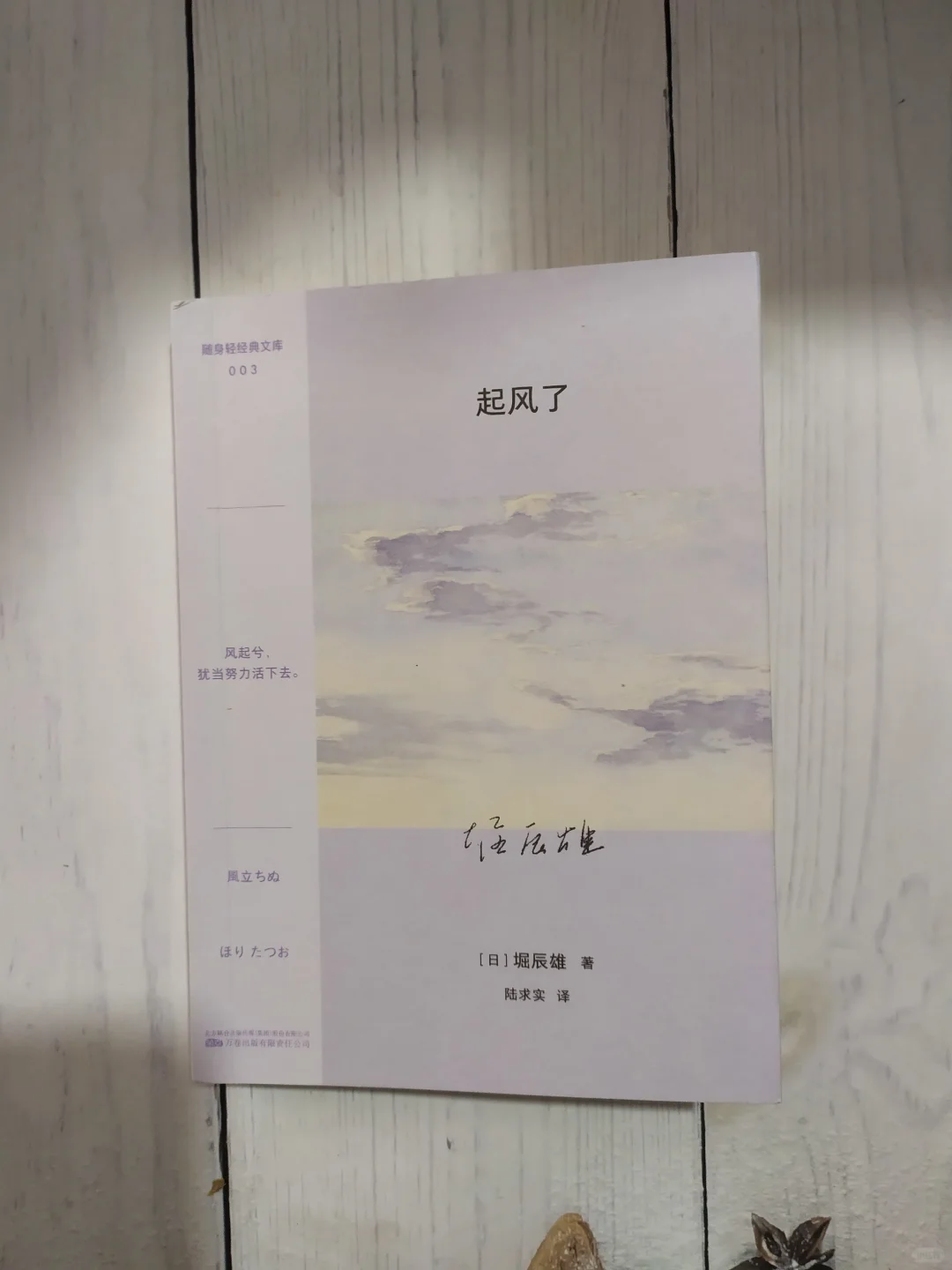 风中的誓言，《起风了》教会我们的爱与放手