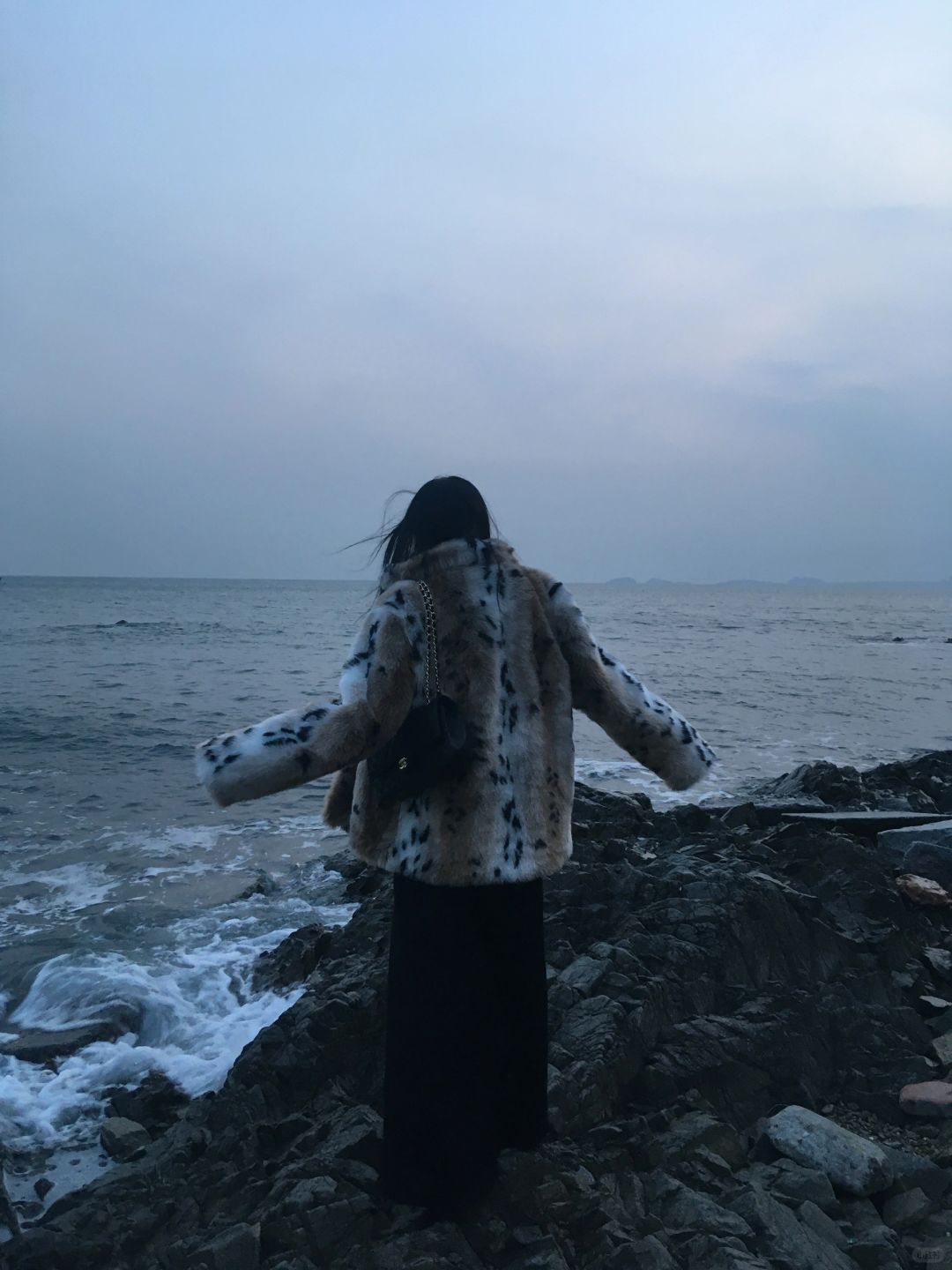 大连的‘小海岛’🪨