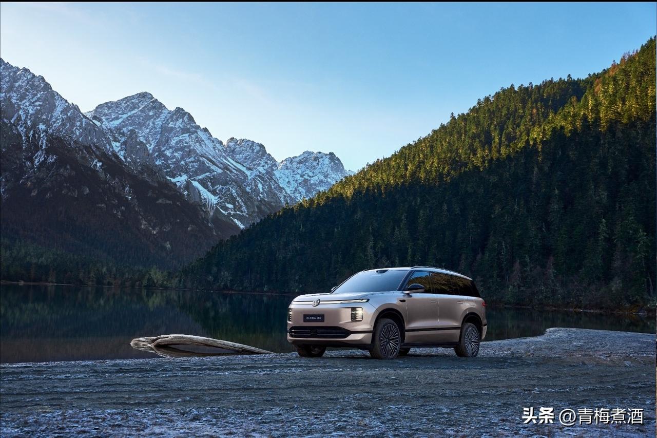 2026年记住这些话，买车不纠结！

1、中国工程院院士杨裕生从宏观发展说“插混