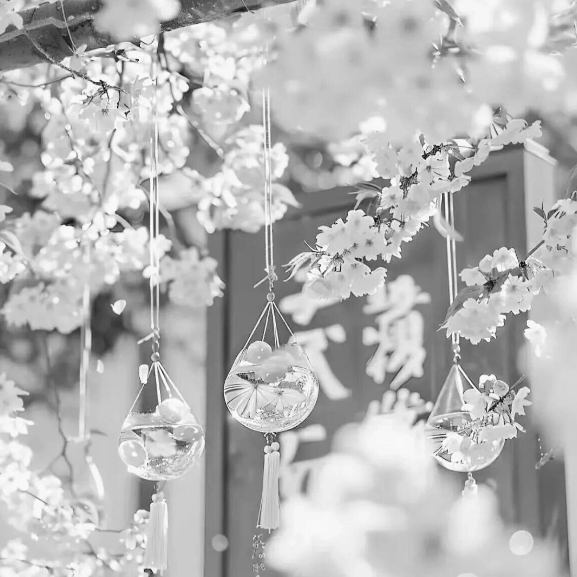 白色背景图｜高级感背景图｜头像分享 