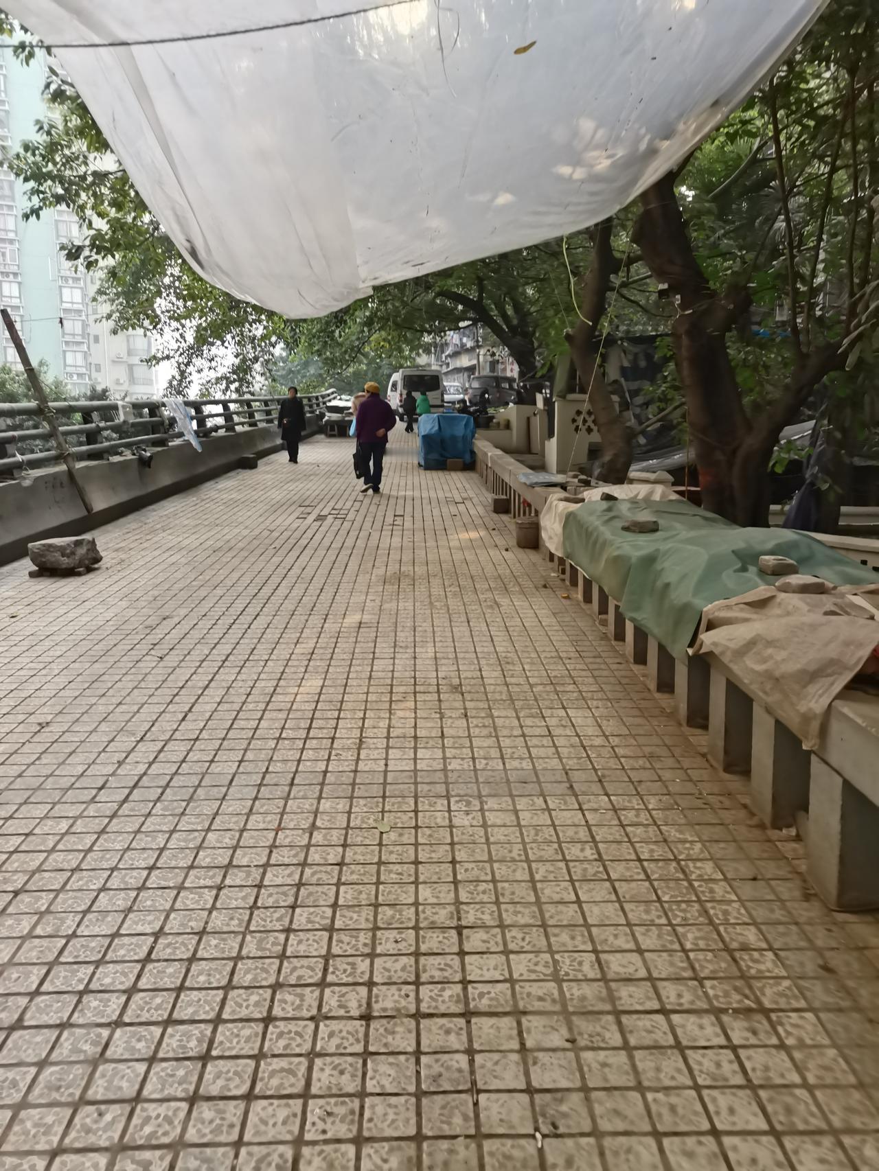 晒图笔记大赛冷淡两三天，又开始热闹了