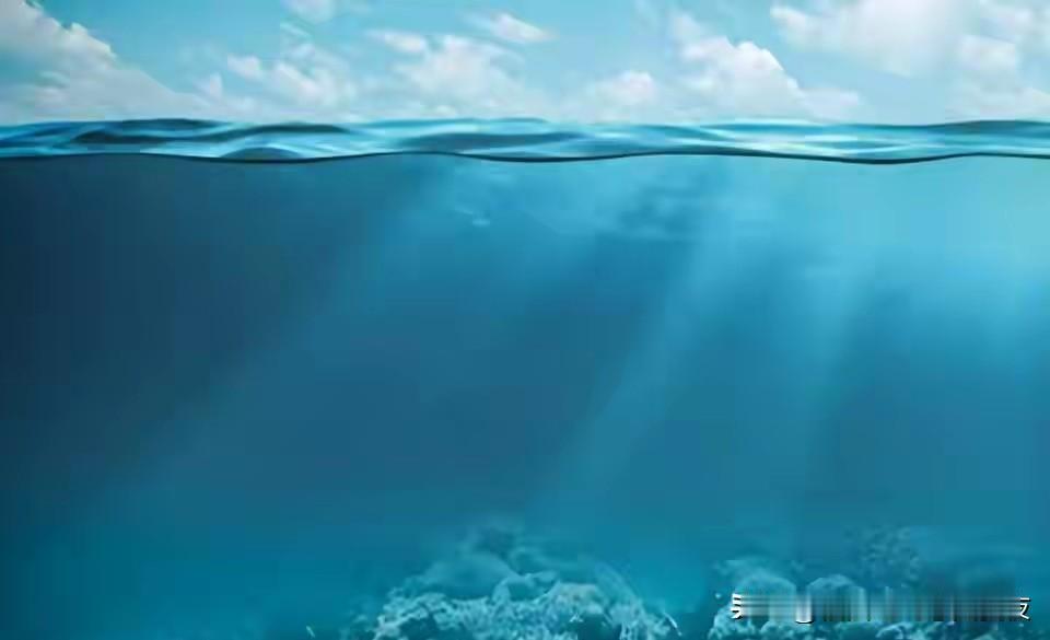 不到24小时，高市甩出大动作，特朗普怒骂“双标”，日本扛不住了